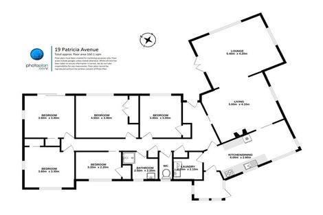 Photo of property in 19 Patricia Avenue, Hamilton East, Hamilton, 3216