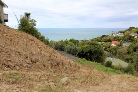 Photo of property in 114a Ravenswood Road, Saint Clair, Dunedin, 9012