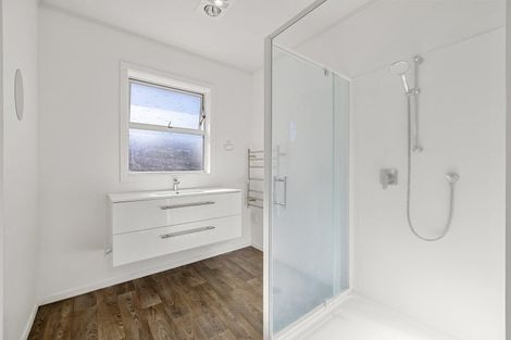 Photo of property in 22 Wilson Street, Hamilton East, Hamilton, 3216