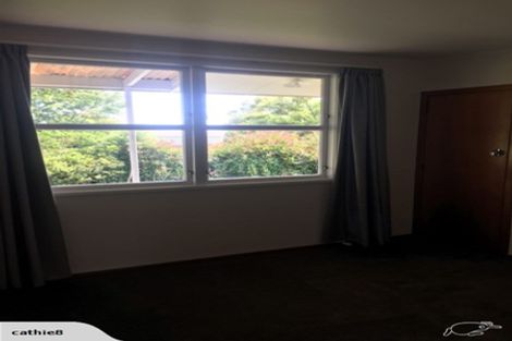 Photo of property in 205 Mcnair Road, Te Awamutu, 3800