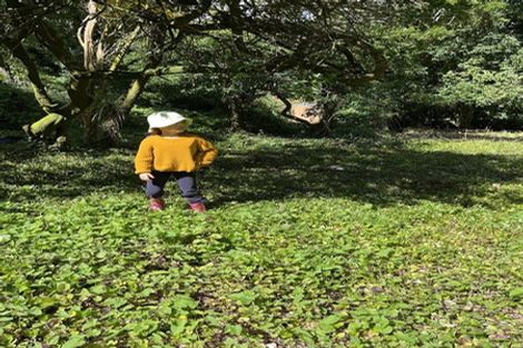 Photo of property in 76 Howard Road, Point Howard, Lower Hutt, 5013