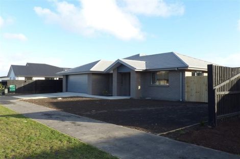 Photo of property in 9 Makawe Roa Street, Marshland, Christchurch, 8083