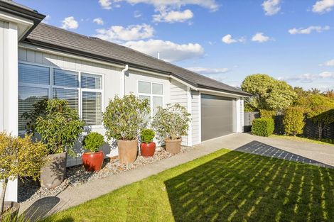 Photo of property in 155 Guildford Drive, Paraparaumu Beach, Paraparaumu, 5032