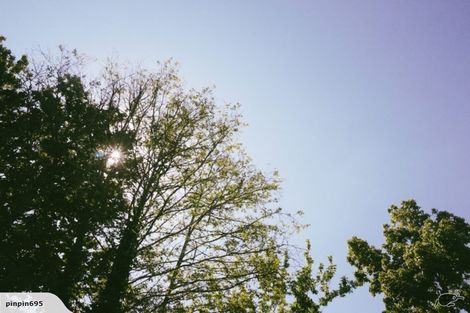 Photo of property in 55 Aurora Terrace, Hillcrest, Hamilton, 3216