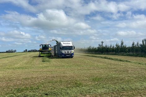 Photo of property in 784 Wrights Road, Oxford, 7495