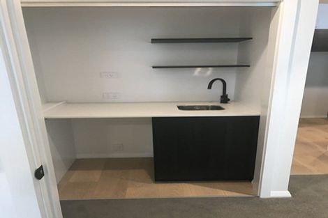 Photo of property in 306/8 Kingsland Terrace, Kingsland, Auckland, 1021