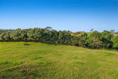 Photo of property in 499 Shelly Beach Road, South Head, Helensville, 0874