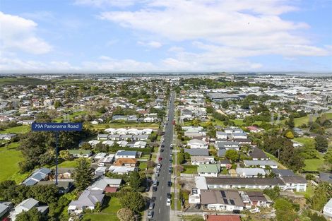 Photo of property in 79a Panorama Road, Mount Wellington, Auckland, 1060
