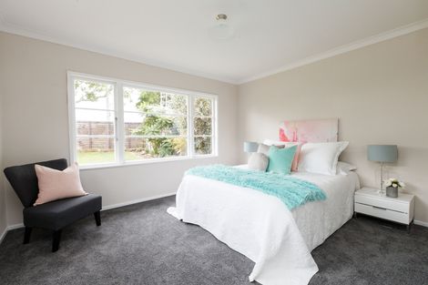 Photo of property in 394 Ruahine Street, Terrace End, Palmerston North, 4410