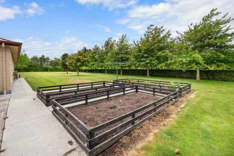 Photo of property in 13 Piako Drive, Darfield, 7571