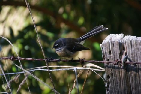 Photo of property in 275 Wainui Valley Road, Wainui, Akaroa, 7582