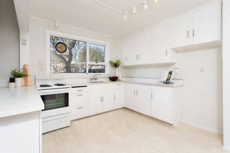 Photo of property in 16 Winton Street, St Albans, Christchurch, 8014