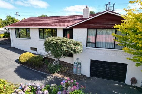 Photo of property in 66 Pioneer Crescent, Helensburgh, Dunedin, 9010