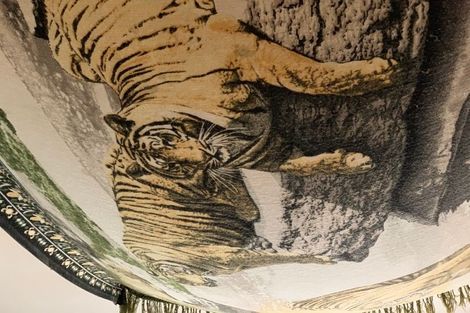 Photo of property in 178 Papanui Street, Tokoroa, 3420