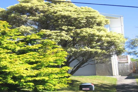 Photo of property in 100 Warwick Street, Wilton, Wellington, 6012