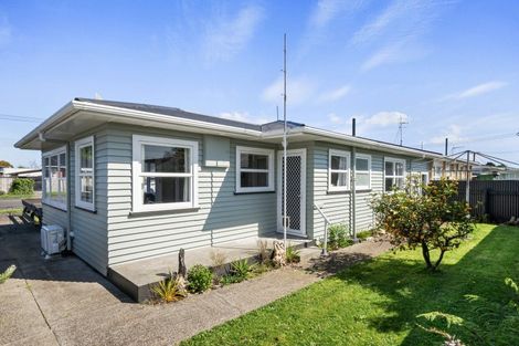 Photo of property in 1b Middlesex Street, Levin, 5510