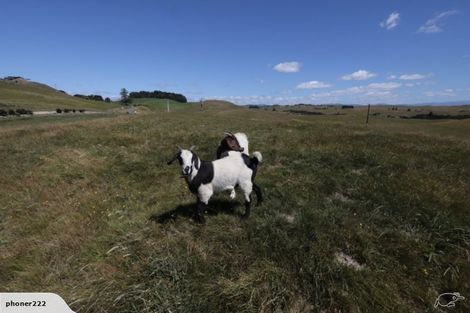 Photo of property in 761 Crownthorpe Sett Road, Crownthorpe, Hastings, 4179