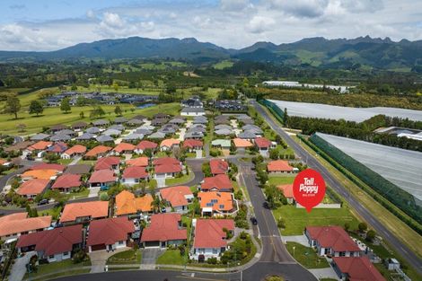 Photo of property in 7 Ballantyne Way, Aongatete, 3178