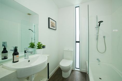 Photo of property in 184c Beach Road, Kaikoura, 7300