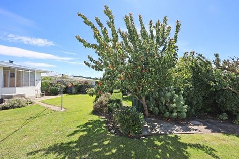 Photo of property in 19 Lismore Street, Oamaru North, Oamaru, 9400
