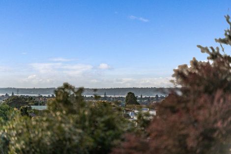 Photo of property in 18 Hepper Street, New Lynn, Auckland, 0600