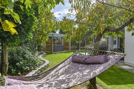 Photo of property in 12 The Croft, Havelock North, 4130