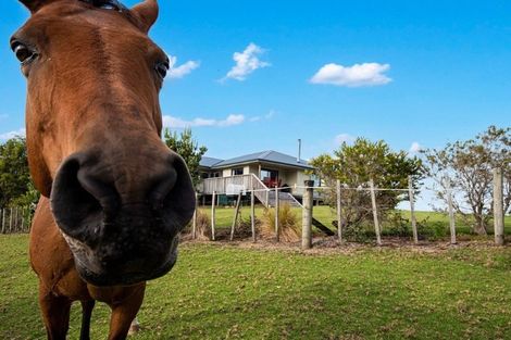 Photo of property in 590 Ngunguru Ford Road, Kiripaka, Whangarei, 0173