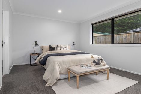 Photo of property in 79 Hinemoa Street, Levin, 5510