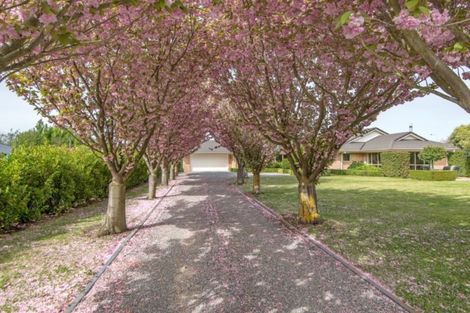 Photo of property in 7 Stonebridge Way, Prebbleton, 7604