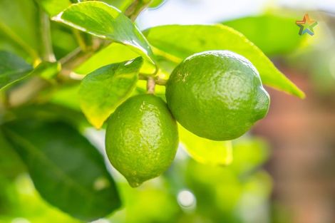 Photo of property in 58 Wakefield Street, Alicetown, Lower Hutt, 5010