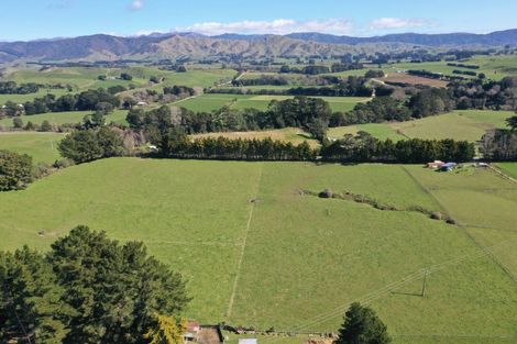 Photo of property in 45 Marchant Street, Eketahuna, 4900