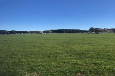 Photo of property in 1105d Santoft Road, Santoft, Bulls, 4894