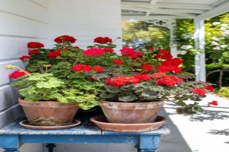 Photo of property in 1380 Moutere Highway, Upper Moutere, 7173