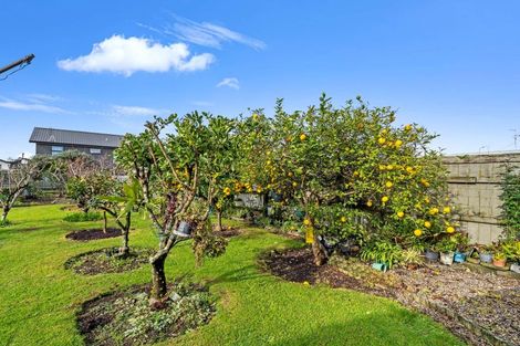 Photo of property in 35 Sherson Street, Gate Pa, Tauranga, 3112