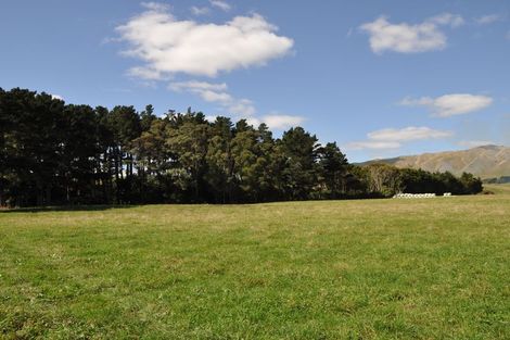 Photo of property in 271 Scotts Road, Linton, Palmerston North, 4472