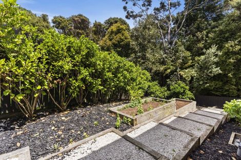 Photo of property in 42 Anne Mclean Drive, Bayview, Auckland, 0629