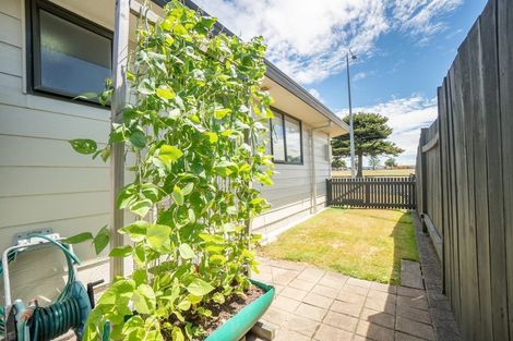 Photo of property in 1 Richmond Avenue, Takaro, Palmerston North, 4410