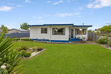 Photo of property in 181 Vogel Street, Roslyn, Palmerston North, 4414