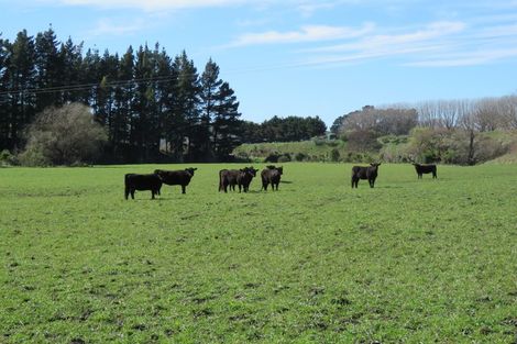 Photo of property in 957 Waimarama Road, Waimarama, Havelock North, 4294