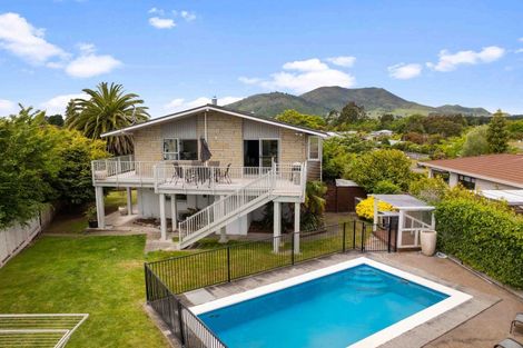 Photo of property in 91 Tamatea Road, Taupo, 3330