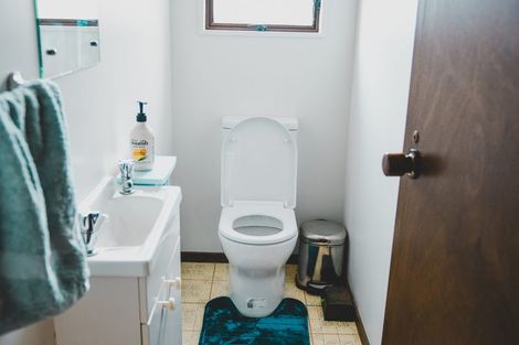 Photo of property in 30 Wills Crescent, Ashhurst, 4810