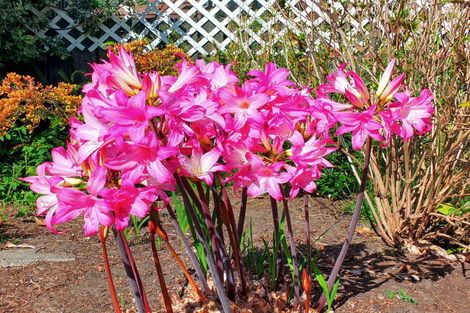 Photo of property in 22 Shortt Street, Foxton Beach, Foxton, 4815