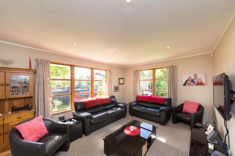 Photo of property in 12 Linmor Place, Terrace End, Palmerston North, 4410