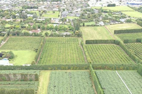 Photo of property in 387 Kerikeri Road, Kerikeri, 0230