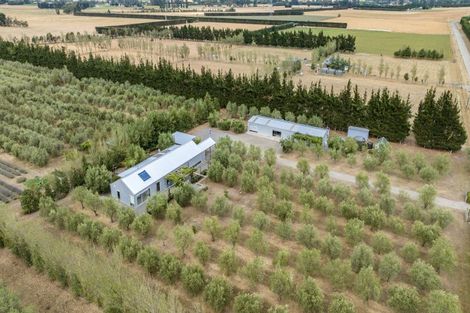 Photo of property in 179 Racecourse Road, Amberley, 7482