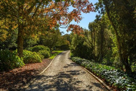 Photo of property in 59d Western Avenue, Omokoroa, 3114