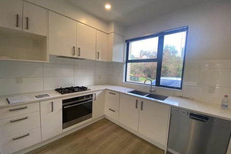 Photo of property in 20 Ti Kouka Lane, Sandringham, Auckland, 1025