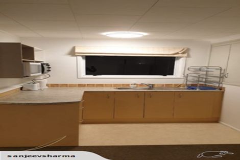 Photo of property in 48 Lynden Avenue, Hillcrest, Auckland, 0627