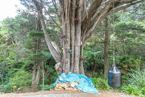 Photo of property in 7 Otuturu Creek Road, Ruamahunga, Thames, 3575