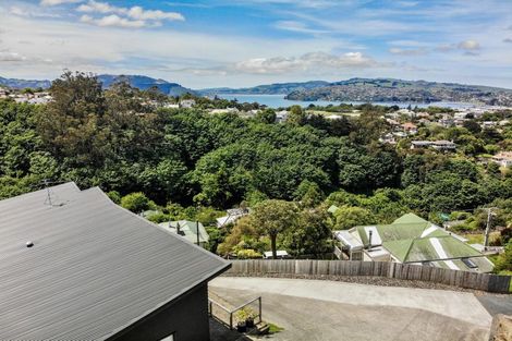 Photo of property in 10 Carson Street, Mornington, Dunedin, 9011